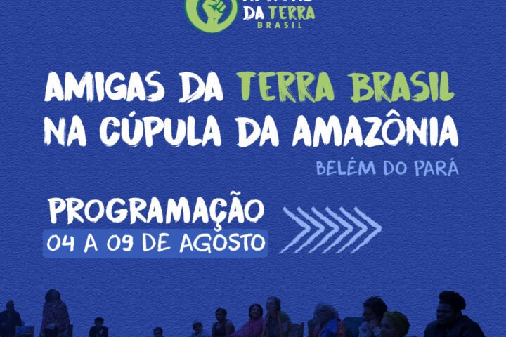 Confira a participação da Amigas da Terra Brasil na Cúpula da Amazônia