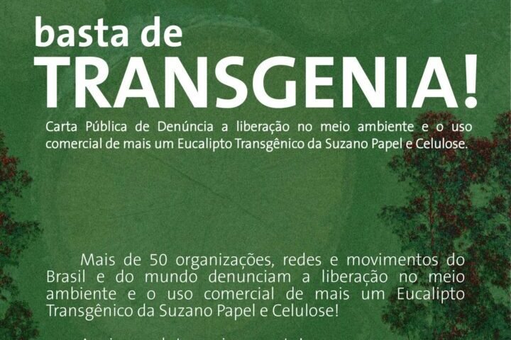 Día del Medio Ambiente: Carta pública de denuncia sobre el eucalipto transgénico de Suzano Papel y Celulosa