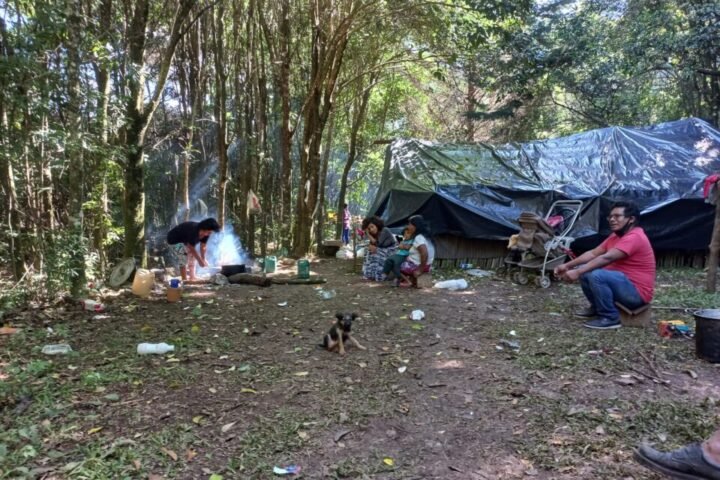 Vitória da retomada: É suspensa ordem de reintegração de posse contra comunidade Mbyá Guarani