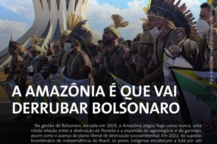 A Amazônia é que vai derrubar Bolsonaro