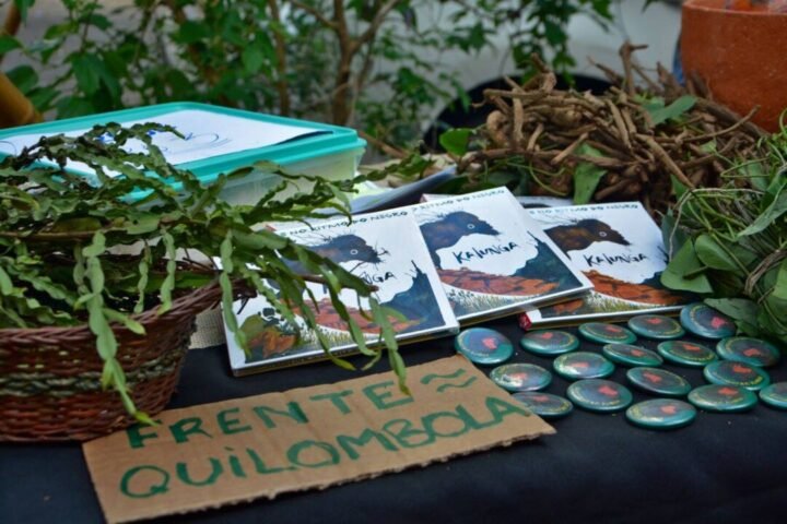 12ª Feira Agroecológica Frutos da Resistência