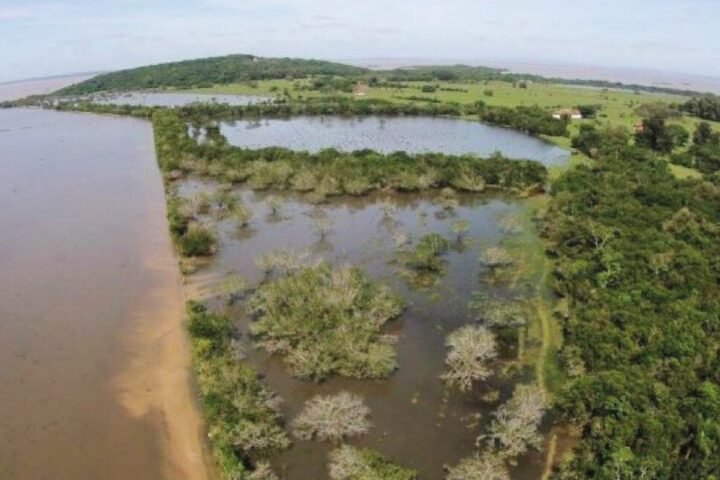 Arado Velho: Projeto habitacional de média e alta renda traz impactos ambientais, sociais e históricos