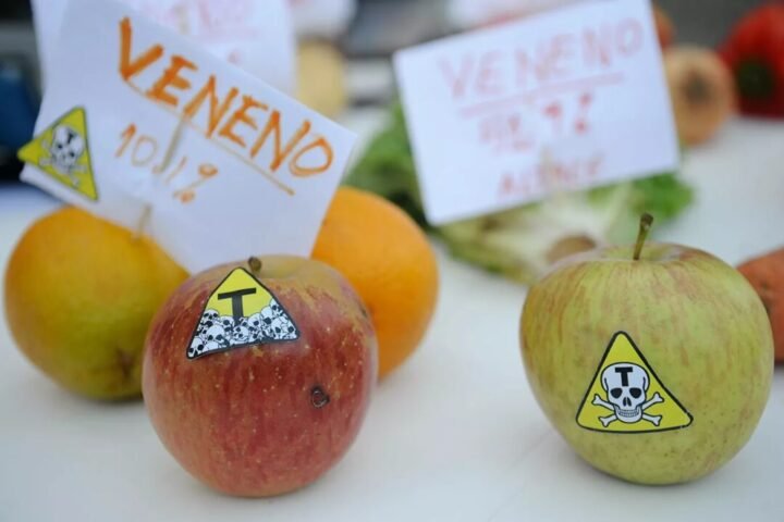 Entenda porque é importante que o Senado rejeite o “PL do Veneno”