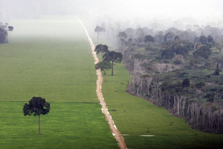PARA, BRAZIL - 2006/05/13: Soy plantation in Amazon rainforest near Santarem - deforestation for the agribusiness - economic development creating environmental degradation -  isolated Brazil nut trees sentenced to death. Opening of a road where before there was a forest. (Photo by Ricardo Beliel/Brazil Photos/LightRocket via Getty Images)