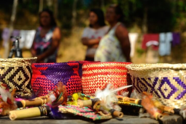 O caso da guarani Teresa Gimenes e sua detenção pela Guarda Municipal de Porto Alegre