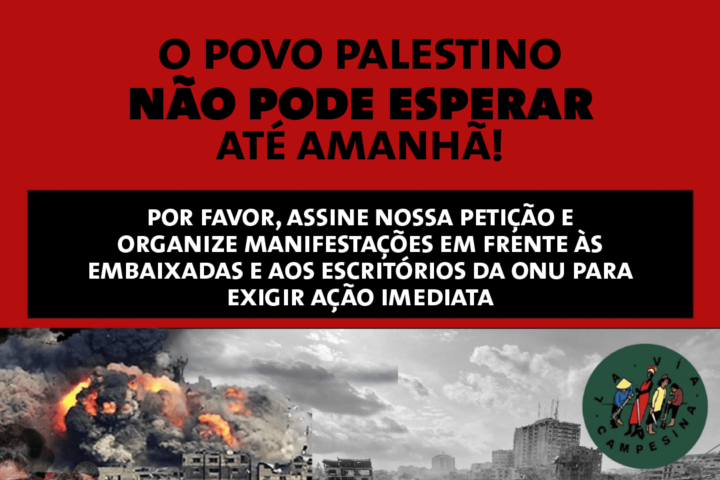 URGENTE: AGIR AGORA PELA PALESTINA – Petição internacional da Via Campesina