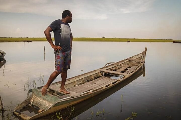Passados 2 anos da pandemia, o cerco à Amazônia continua