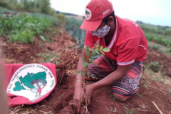 "Precisamos parar essa boiada, reconhecendo, valorizando e defendendo quem cuida e cultiva a Terra " - Comunicação MST